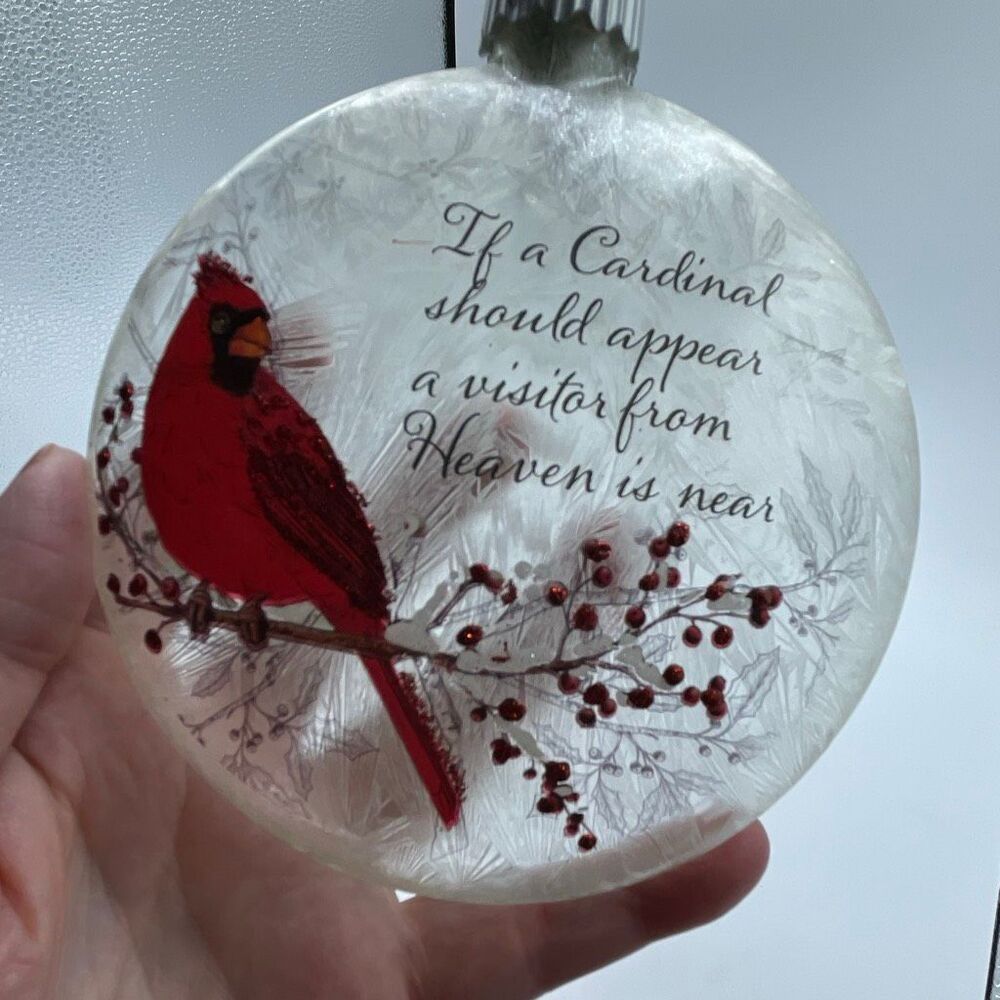 Large frosted light up Cardinal ornament.